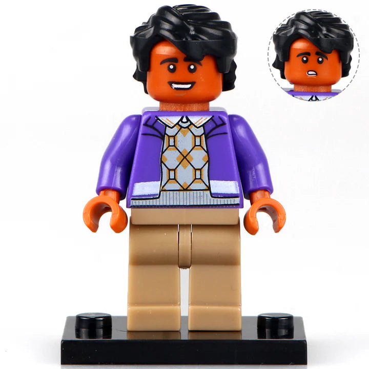 Raj big bang Theory